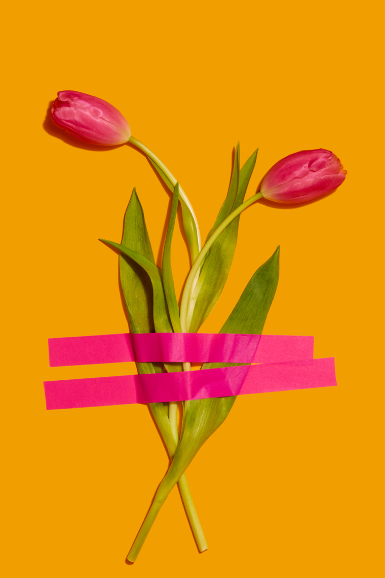 Taped Tulips, Tabletop photography 