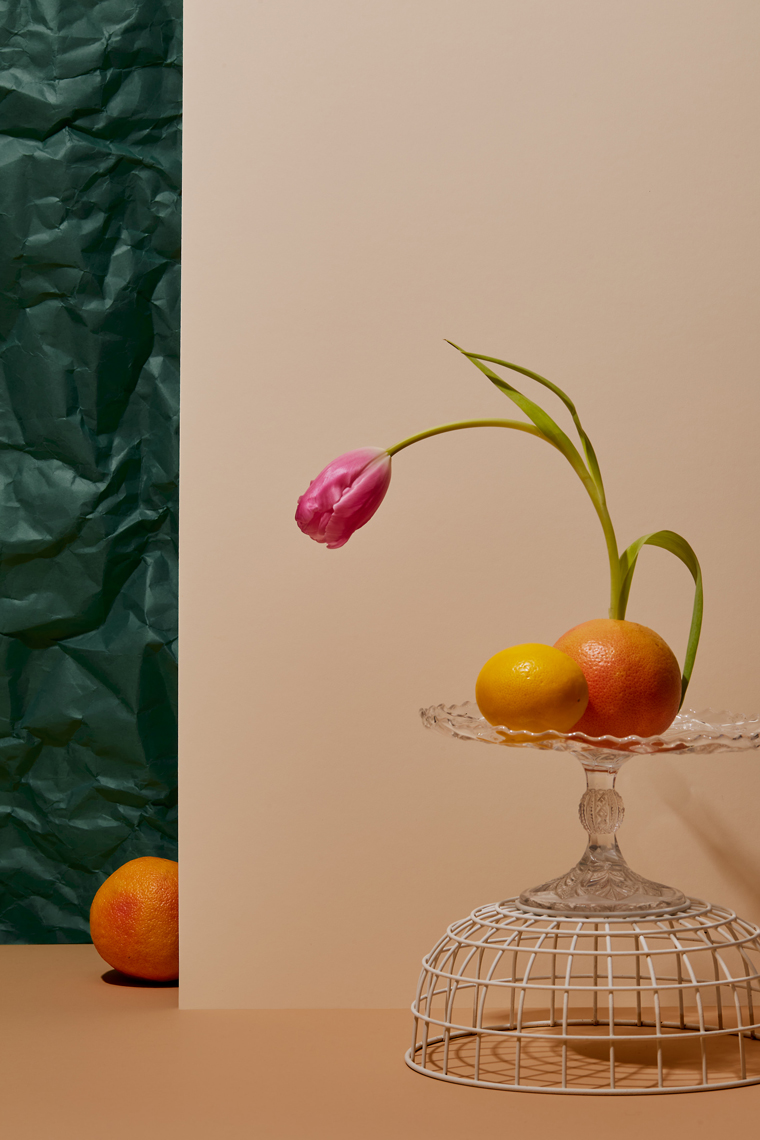 Tulips and Shy Citrus